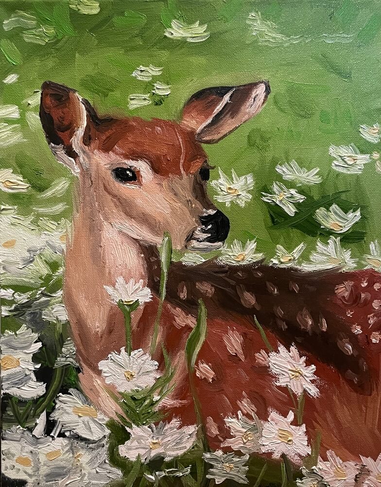 Baby Deer