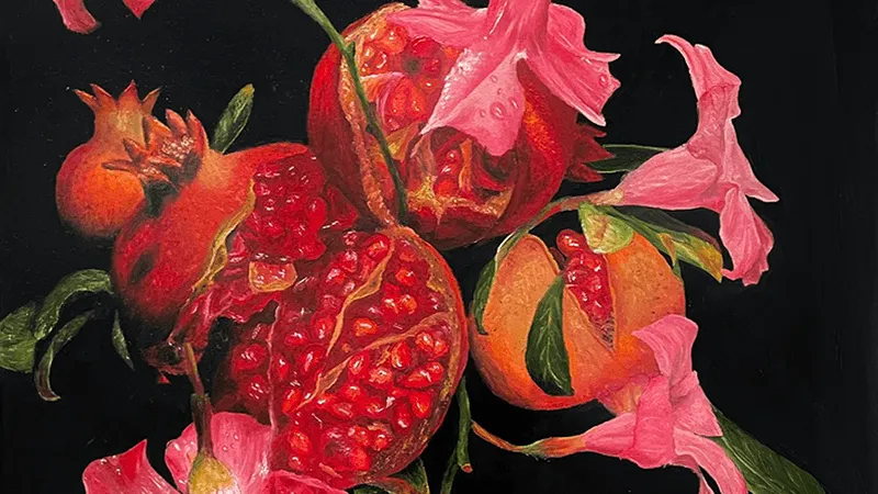 Pomegranates - Original artwork by Elliot Macchia